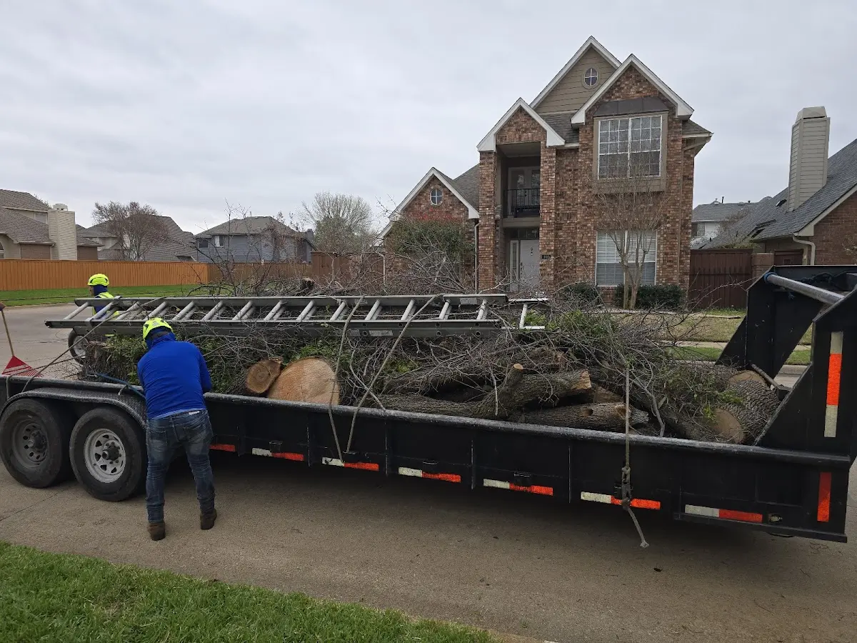 Expert Tree Fertilization with proper safety equipment in Red Creek